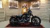 2020 Harley Davidson Iron 883 Xl883n River Rock Gray