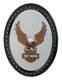 Harley-davidson Eagle Bar & Shield Logo Oval Mirror Sign -18 X 24 Inch Hdl-15232