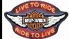 Harley Davidson Live To Ride Winged Bar U0026 Shield Neon Sign