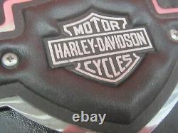 Vintage Genuine Harley Sportster Dyna Fxr 12 Backrest Sissy Bar & Shield Pad